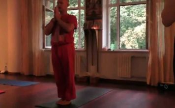 Йога. Суставы. Энергия рода. Август. 2015. Андрей Максименко. Сурья Дас