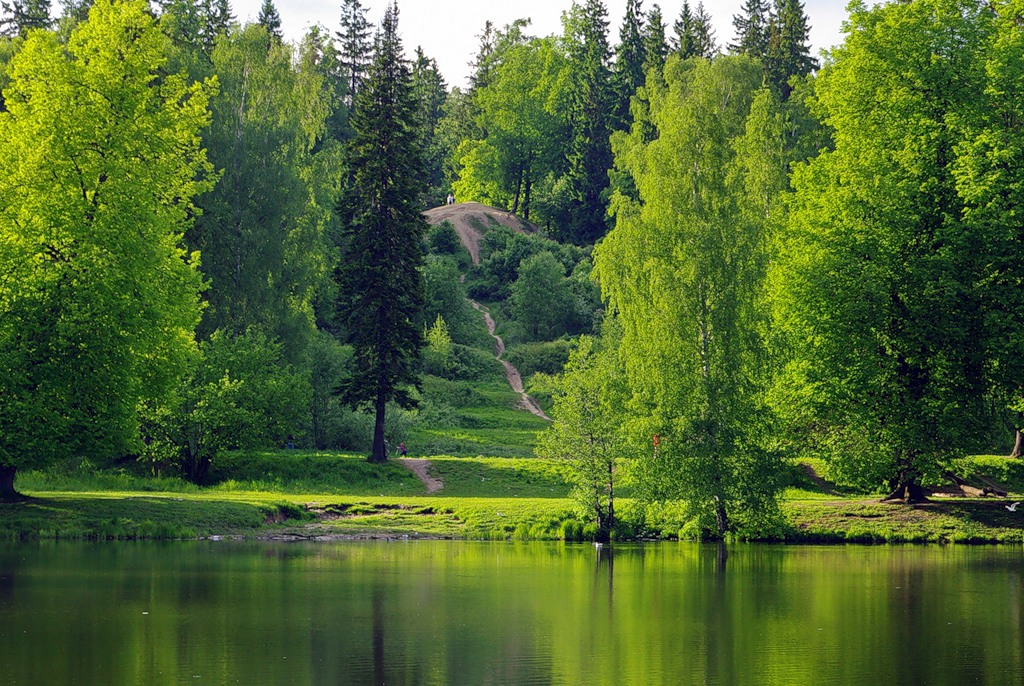 shuvalovskiy_park_parnas