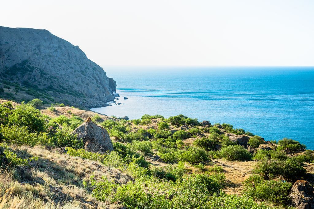 suraidas-meganom-2019-5906_sml_land