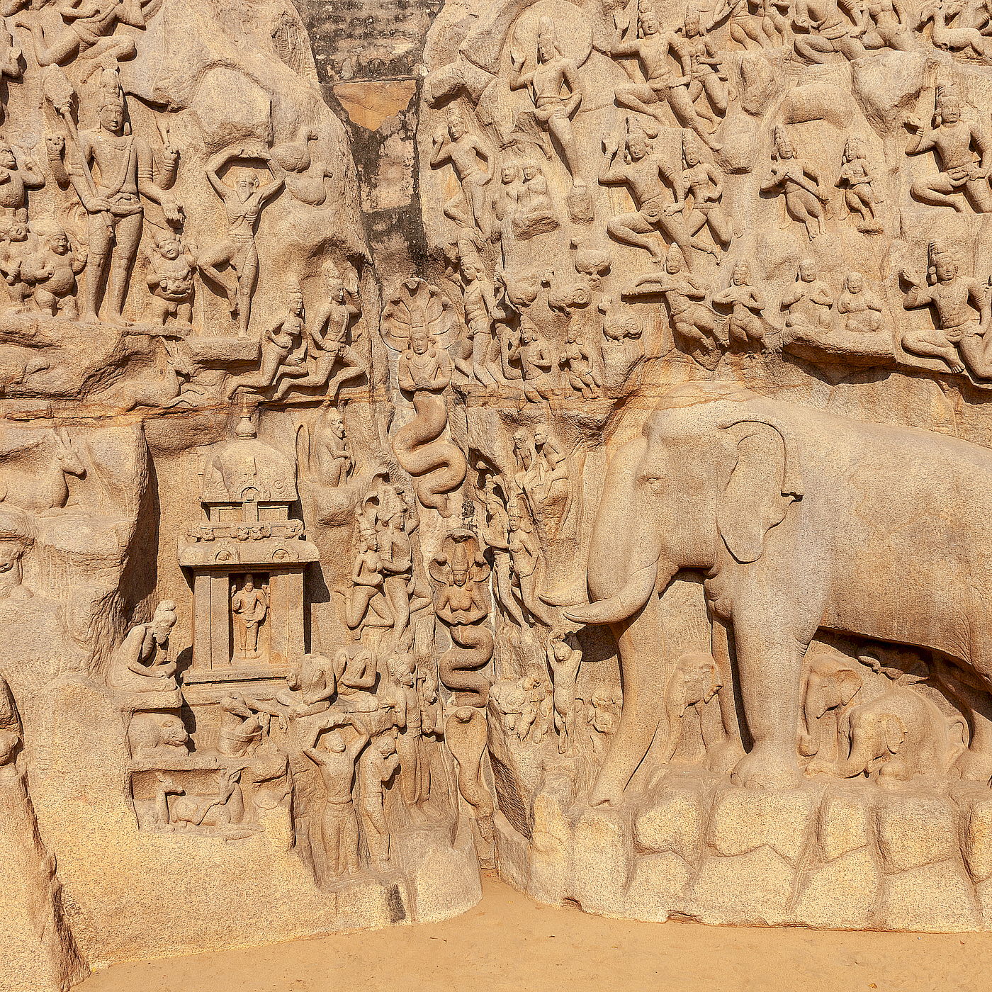 suriadas-india-2019–0350