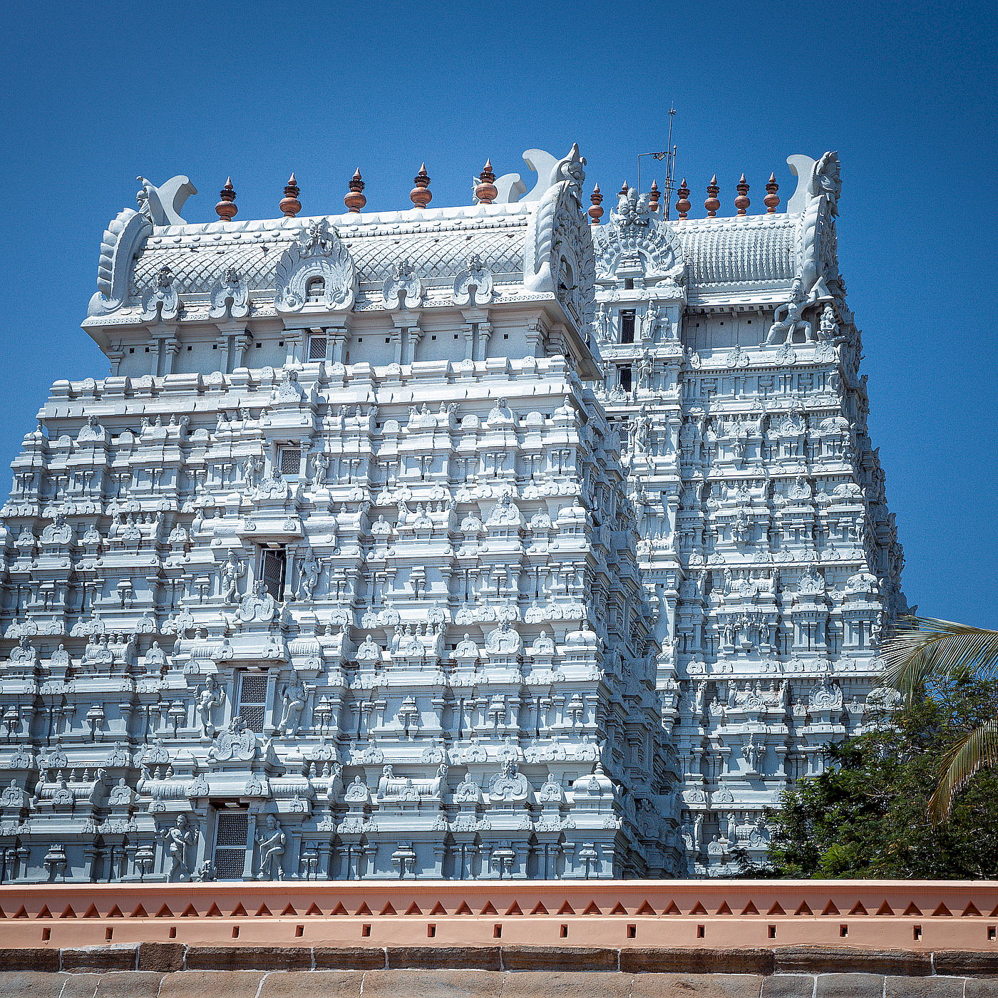 suriadas-india-2019–8749