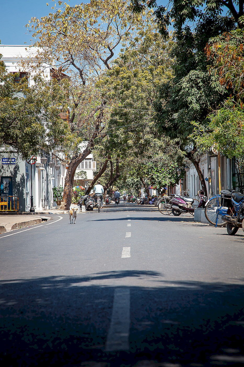 suriadas-india-2019–9753