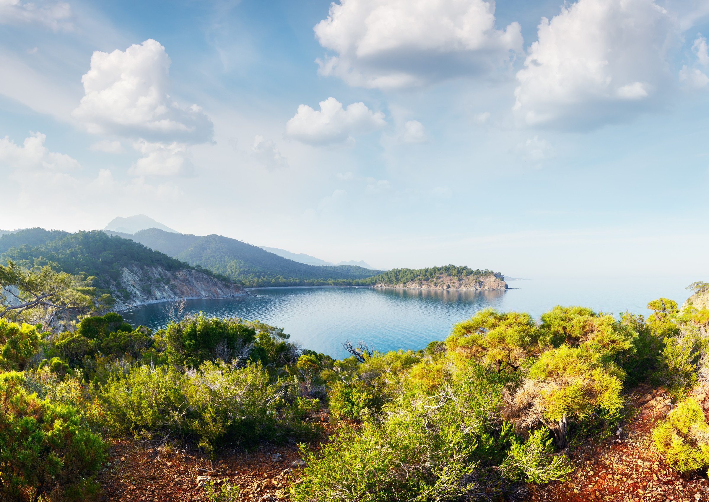 suriadas-turkey-001a